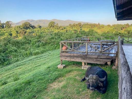 Rhino Lodge Ngorongoro
