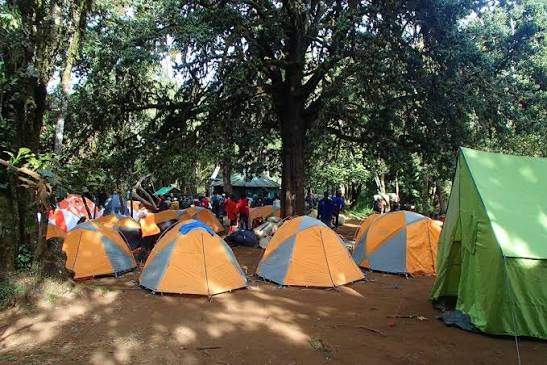 Mti Mkubwa Camp