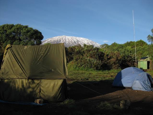 Simba Camp